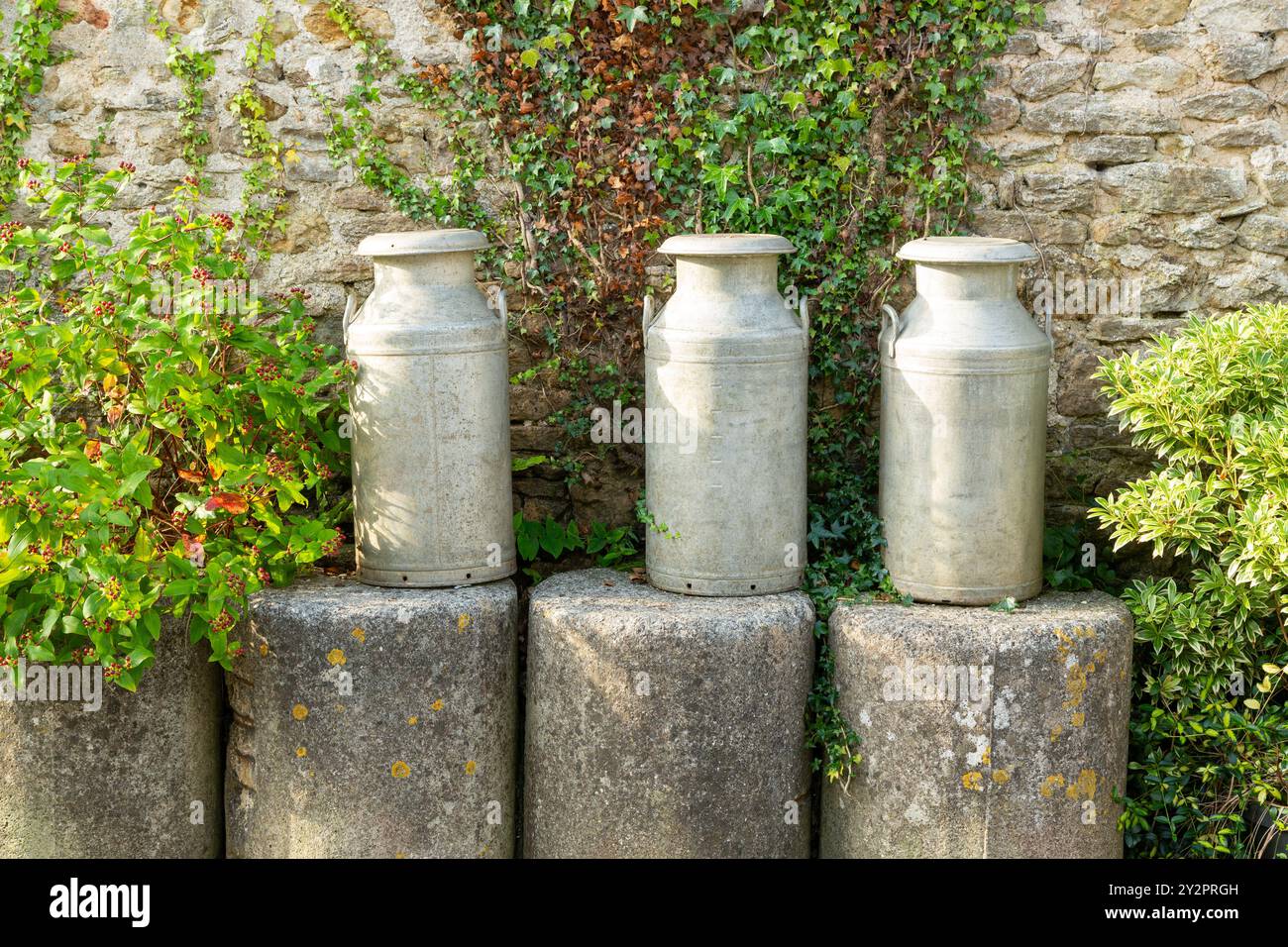 Trois curns de lait et mur de pierre comme arrière-plan Banque D'Images