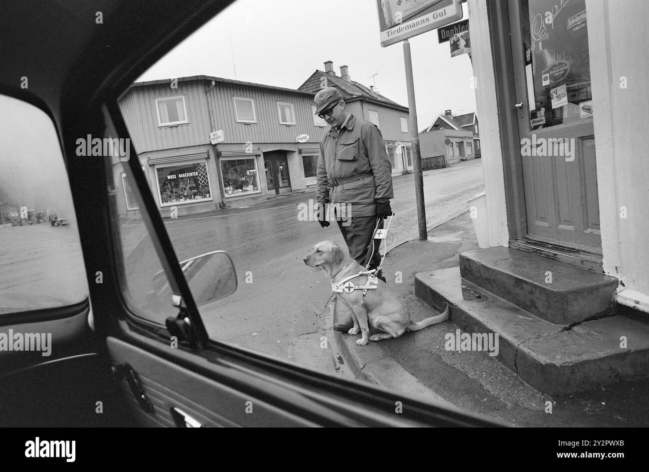 Current 50-7-1970 : Une école pour aveugles et son chien. La Fédération norvégienne des aveugles a acheté une propriété plus grande à Østfold et y a installé une école de chiens-guides, qui formera désormais une trentaine de chiens-guides pour aveugles chaque année. Finn Tunsli d'Oslo avec Runa. Les chiens-guides reçoivent une formation sur la circulation, c'est-à-dire qu'ils doivent marquer pour le conducteur lorsqu'une voiture veut traverser le passage pour piétons. Photo : Ivar Aaserud / Aktuell / NTB ***la photo n'est pas traitée*** le texte de l'image est traduit automatiquement le texte de l'image est traduit automatiquement Banque D'Images