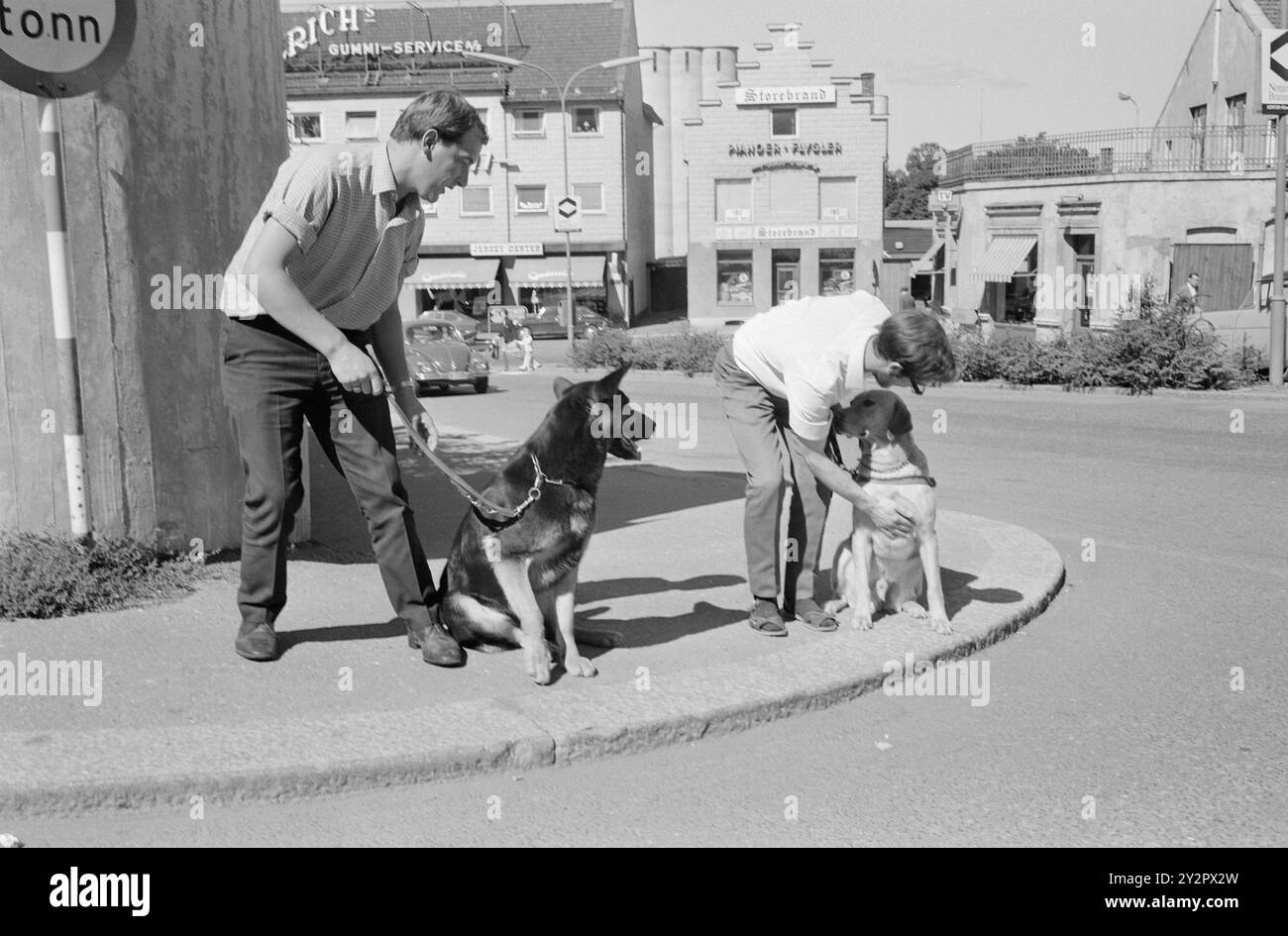 Current 50-7-1970 : Une école pour aveugles et son chien. La Fédération norvégienne des aveugles a acheté une propriété plus grande à Østfold et y a installé une école de chiens-guides, qui formera désormais une trentaine de chiens-guides pour aveugles chaque année. Les deux écossais Robert Wilson et John Gibb en formation à Moss. Les formateurs viennent d'une école de chiens-guides écossais reconnue, et ils sont responsables de tous les entraînements des chiens à l'école norvégienne de chiens-guides. Photo : Ivar Aaserud / Aktuell / NTB ***la photo n'est pas traitée*** le texte de cette image est traduit automatiquement le texte de cette image est automatique Banque D'Images