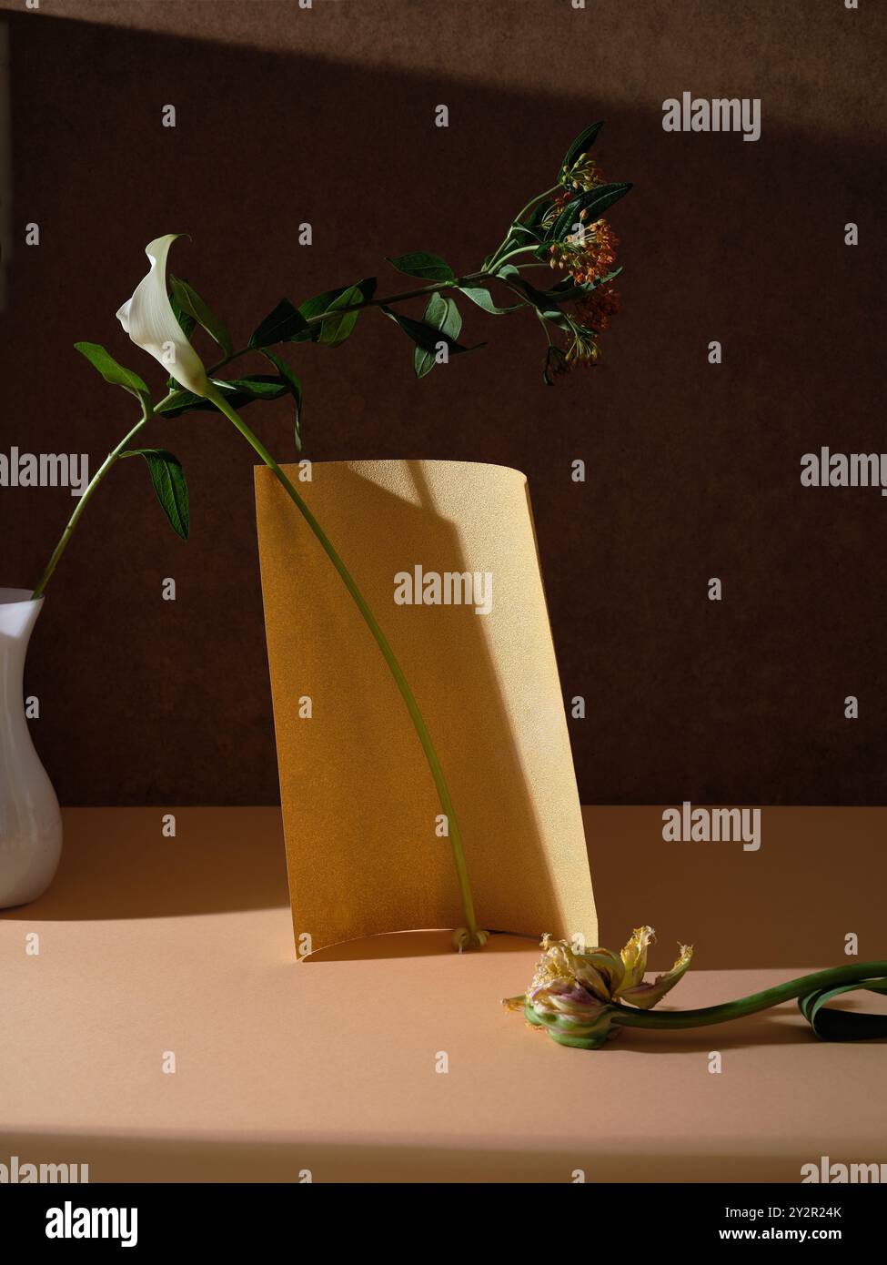 Une nature morte artistique mettant en valeur un lys blanc délicat et un feuillage luxuriant dans un vase blanc, accompagné de fleurs gracieusement vieillies sur un b texturé Banque D'Images
