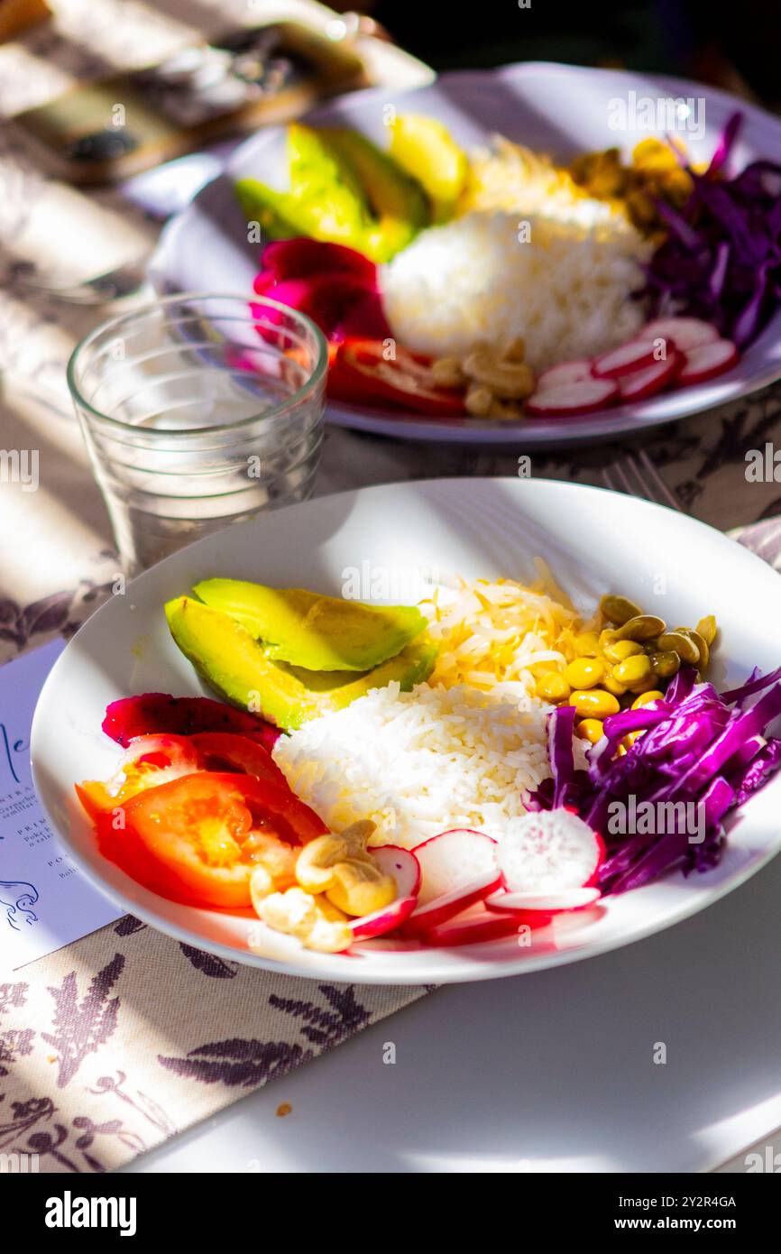 Une assiette vibrante de cuisine végétalienne avec des tranches d'avocat, riz blanc, tomates, chou rouge, radis, et des noix de cajou, artistiquement arrangées pour une guérison Banque D'Images