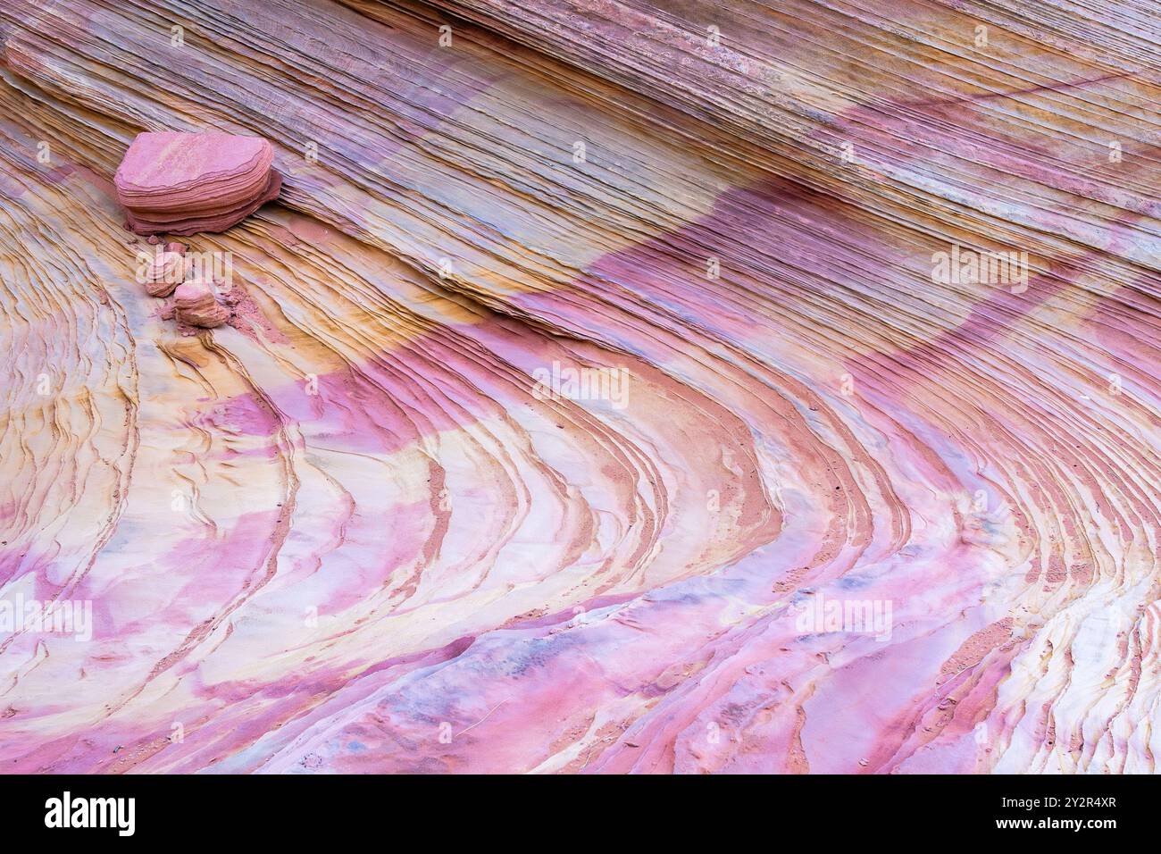 Motifs de vagues vibrants sur des formations de pierre abstraites multicolores à Coyote Buttes en Arizona. Banque D'Images
