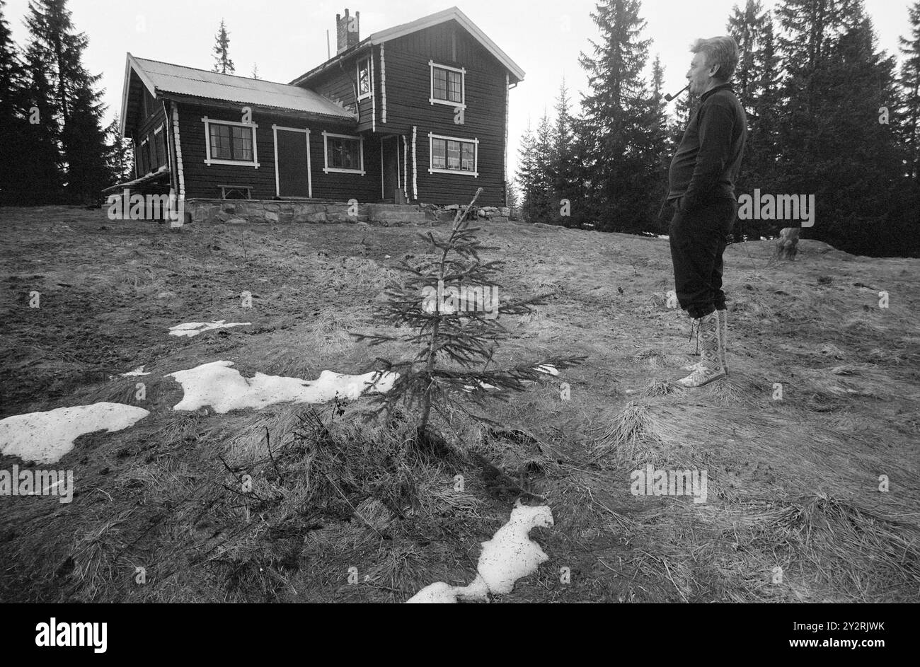 Courant 21 - 4 - 1971 : jouer sur le Marsha Mile de Raufoss il y a une aire de jeux pour les tétras. Là, nous avons vu 12-16 coqs de Grouse avoir leur match les uns avec les autres pour gagner la faveur des poules de Grouse. Il a commencé à deux heures du matin et a duré jusqu'à cinq ou six heures du matin. Puis il y a eu une courte pause jusqu'à ce que le jeu du soleil commence. Ça dura jusqu'à neuf heures. Le jeu de Grouse a eu lieu au même endroit année après année depuis plus de 100 ans. Jahn Pedersen était notre connaissance sur le terrain de jeu. Il a 'bousculé' un coq jusqu'au petit bar et à la cabane du Bush que nous avions construit. Photo : AA Banque D'Images