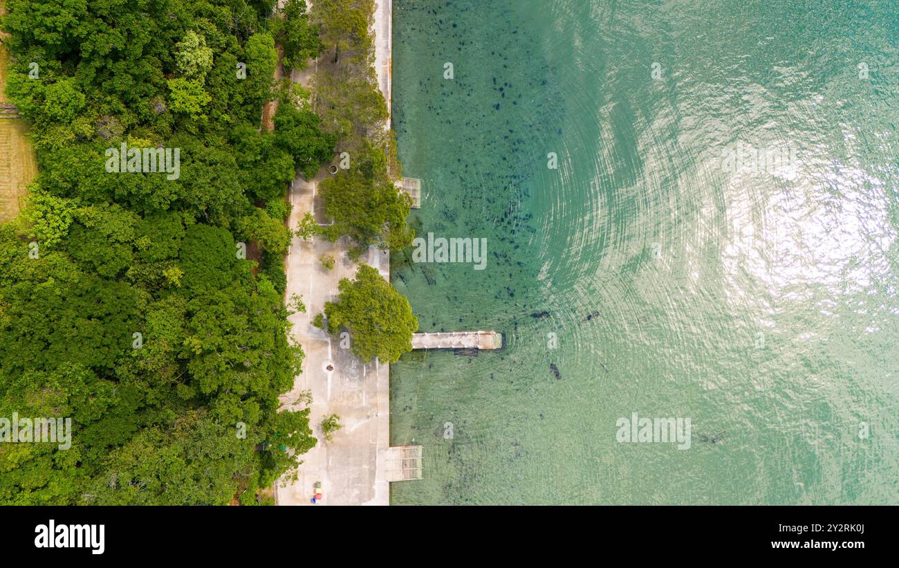 Une vue aérienne de la côte italienne de la mer Adriatique d'en haut, avec une végétation dense et une petite jetée Banque D'Images