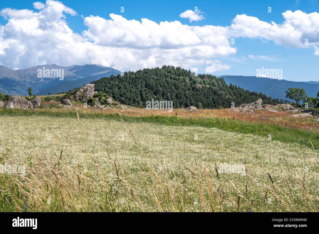 Paysage avec des rochers de granit près de Targassonne dans la Cerdagne des Pyrénées des Pyrénées Orientales, France Banque D'Images