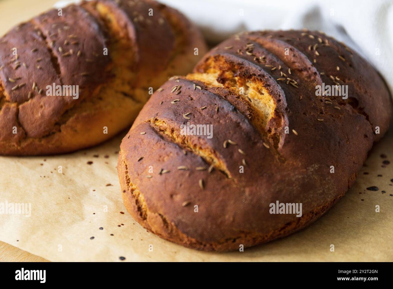 photographie rapprochée de deux pains de seigle fraîchement cuits sur un papier cuisson partiellement recouvert d'un torchon blanc à la lumière du jour Banque D'Images