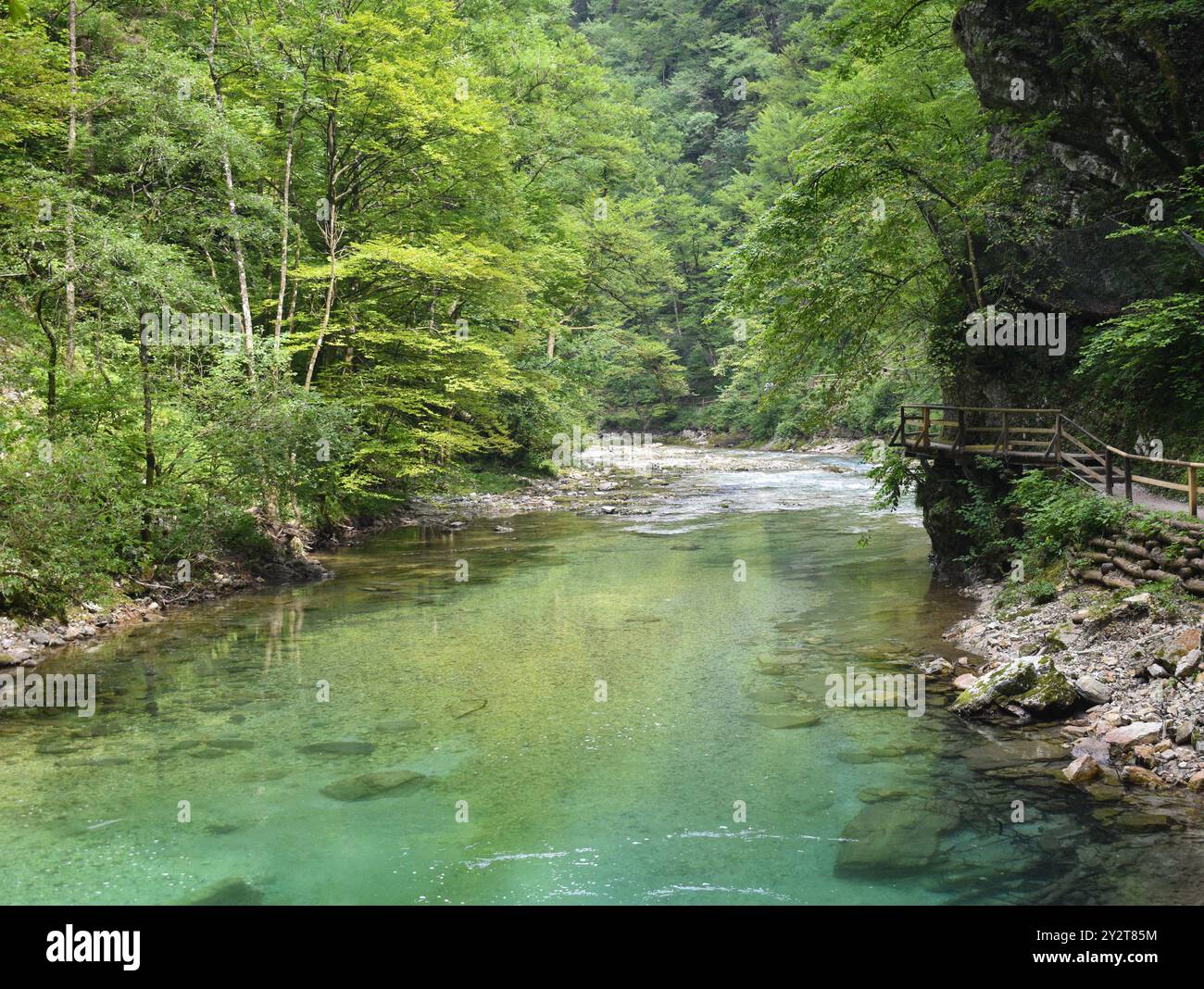 Gorges de Vintgar, Slovénie Banque D'Images