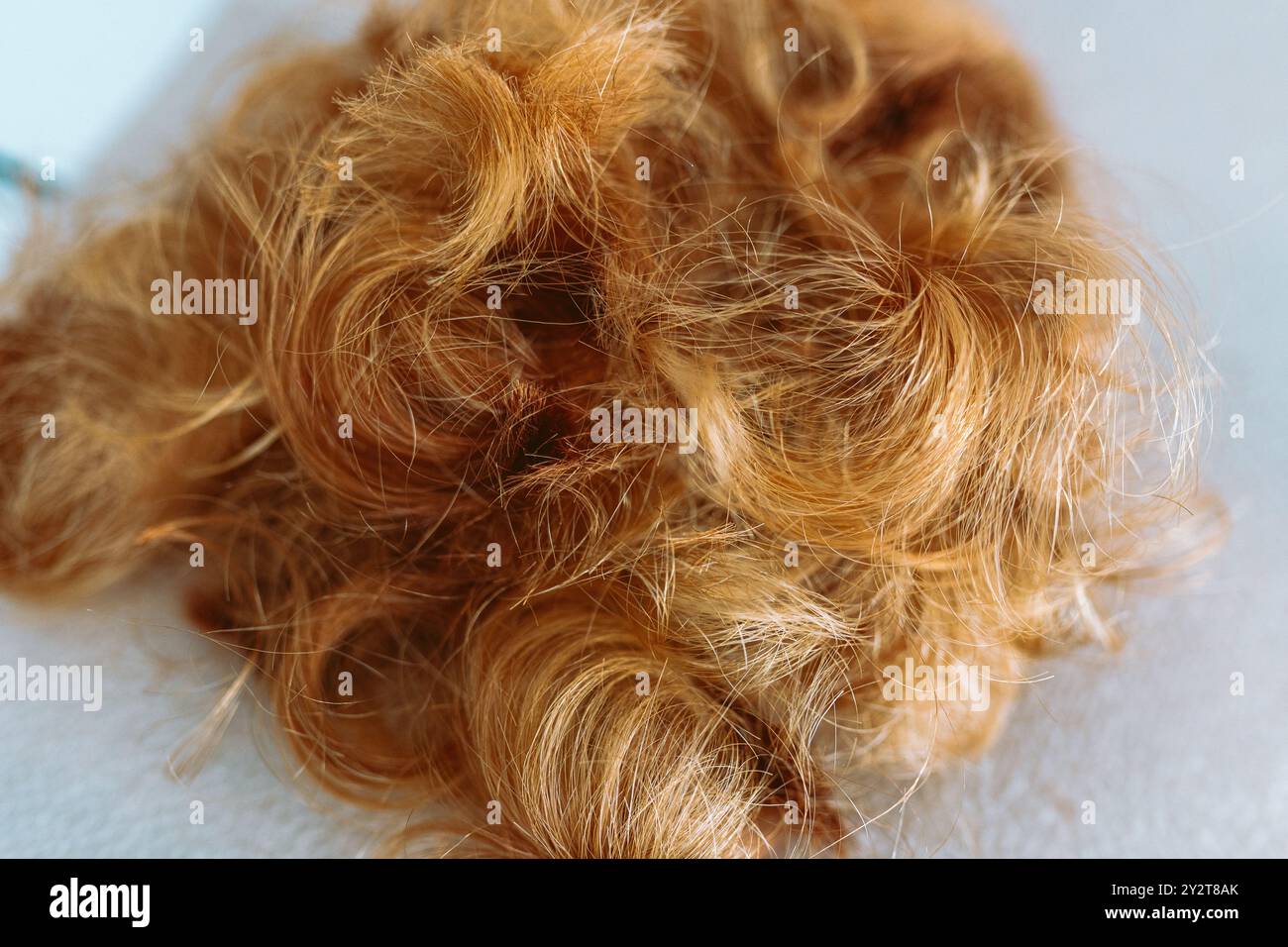 mèches de cheveux roux coupés Banque D'Images