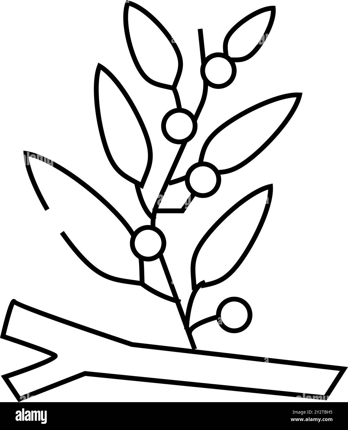 illustration vectorielle de l'icône de la ligne d'algues sargassum Illustration de Vecteur
