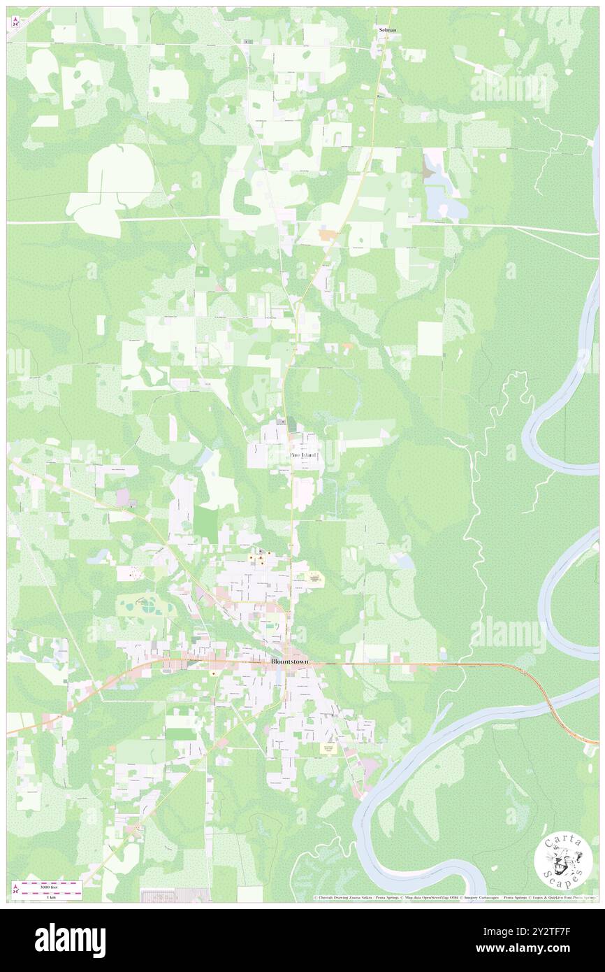 Pine Island, Comté de Calhoun, US, États-Unis, Floride, n 30 28' 25'', S 85 2' 34'', carte, Cartascapes carte publiée en 2024. Explorez Cartascapes, une carte qui révèle la diversité des paysages, des cultures et des écosystèmes de la Terre. Voyage à travers le temps et l'espace, découvrir l'interconnexion du passé, du présent et de l'avenir de notre planète. Banque D'Images