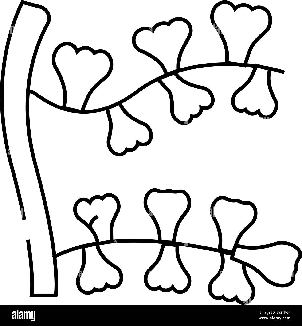 illustration vectorielle de la ligne d'algues sargassum horneri Illustration de Vecteur