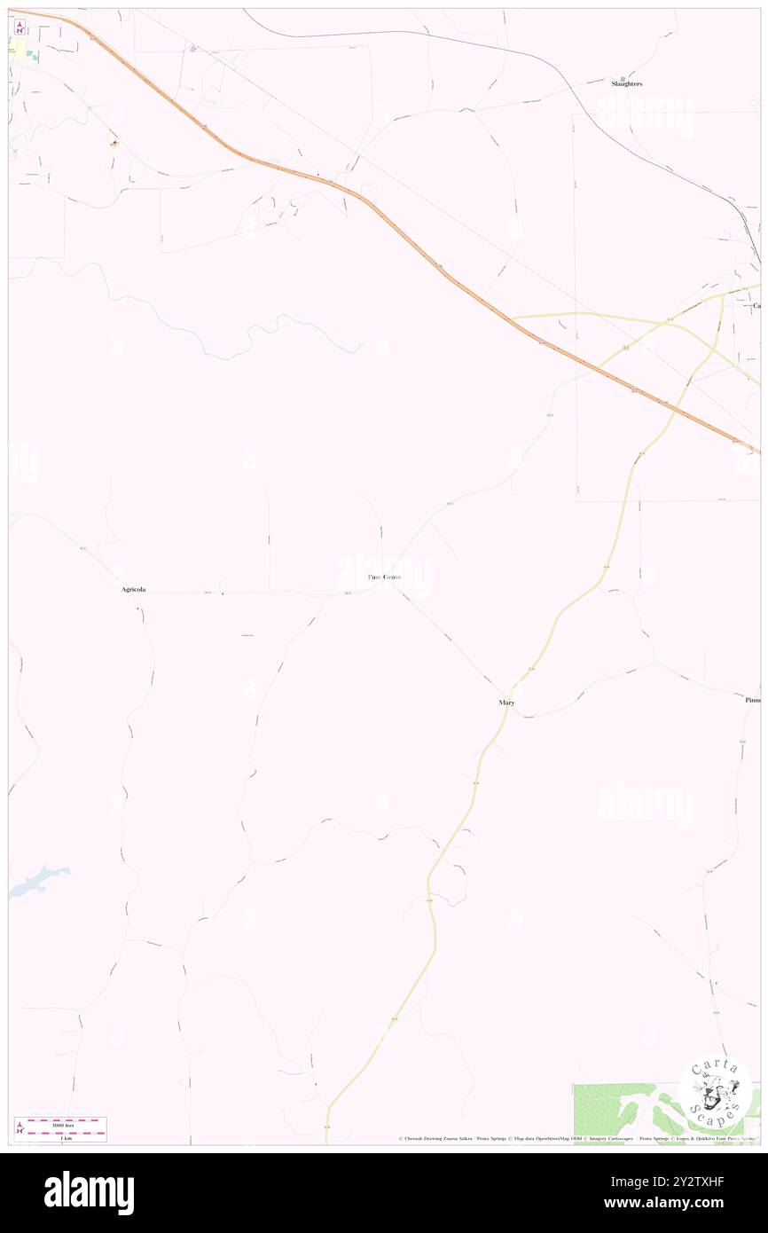 Pine Grove, Comté de Tallapoosa, US, États-Unis, Alabama, n 32 46' 11'', S 85 42' 17'', carte, Cartascapes carte publiée en 2024. Explorez Cartascapes, une carte qui révèle la diversité des paysages, des cultures et des écosystèmes de la Terre. Voyage à travers le temps et l'espace, découvrir l'interconnexion du passé, du présent et de l'avenir de notre planète. Banque D'Images