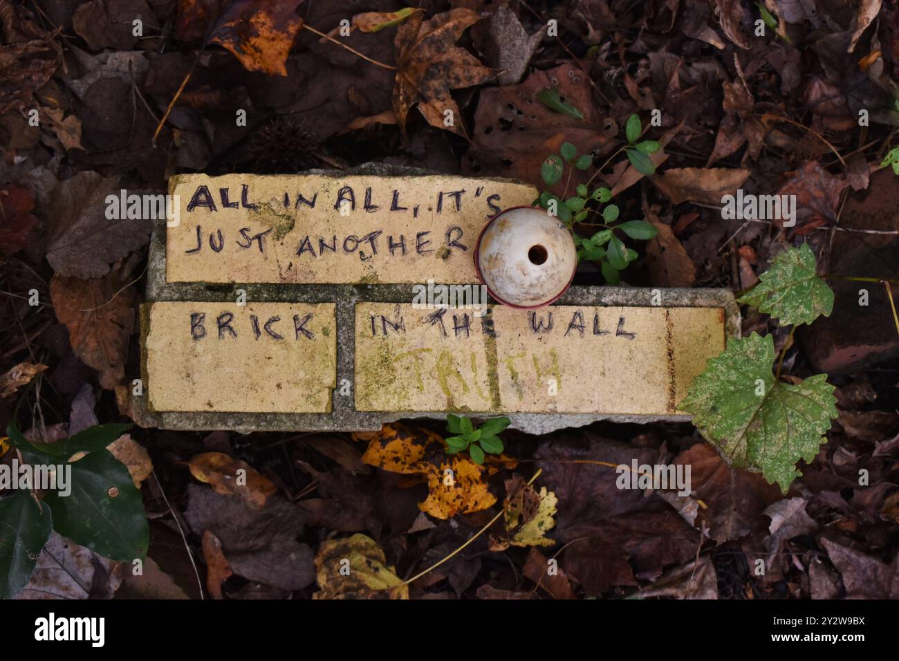 Une lyrique de Pink Floyd écrite sur une brique à Doll's Head Trail d'Atlanta, Géorgie - 'dans l'ensemble, c'est juste une autre brique dans le mur' Banque D'Images