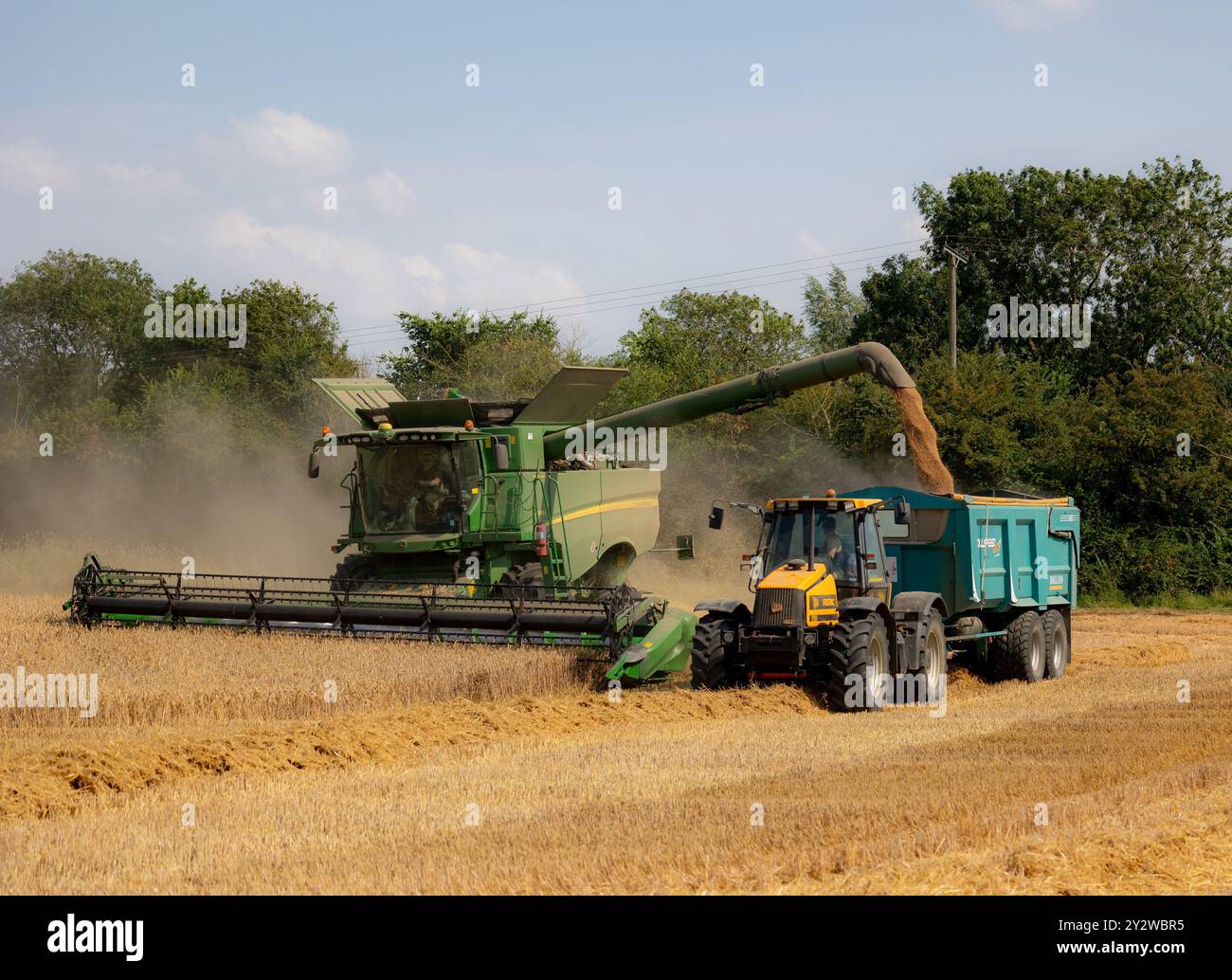 Moissonneuse-batteuse transportant du grain récolté sur une remorque de tracteur dans un champ de blé. Banque D'Images