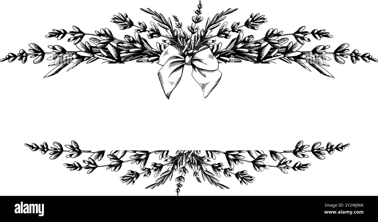 Fleurs et feuilles de lavande, branches décorées d'un noeud en satin. Illustration dessinée à la main avec dessin au trait graphique à l'encre noire et blanche. Horizontal Illustration de Vecteur