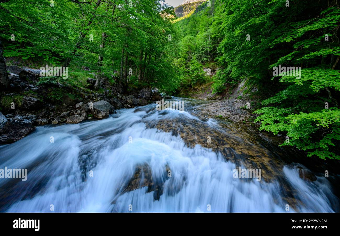 Cascade de Arripas cascade dans la rivière Rio Arazas dans le canyon d'Ordesa Banque D'Images