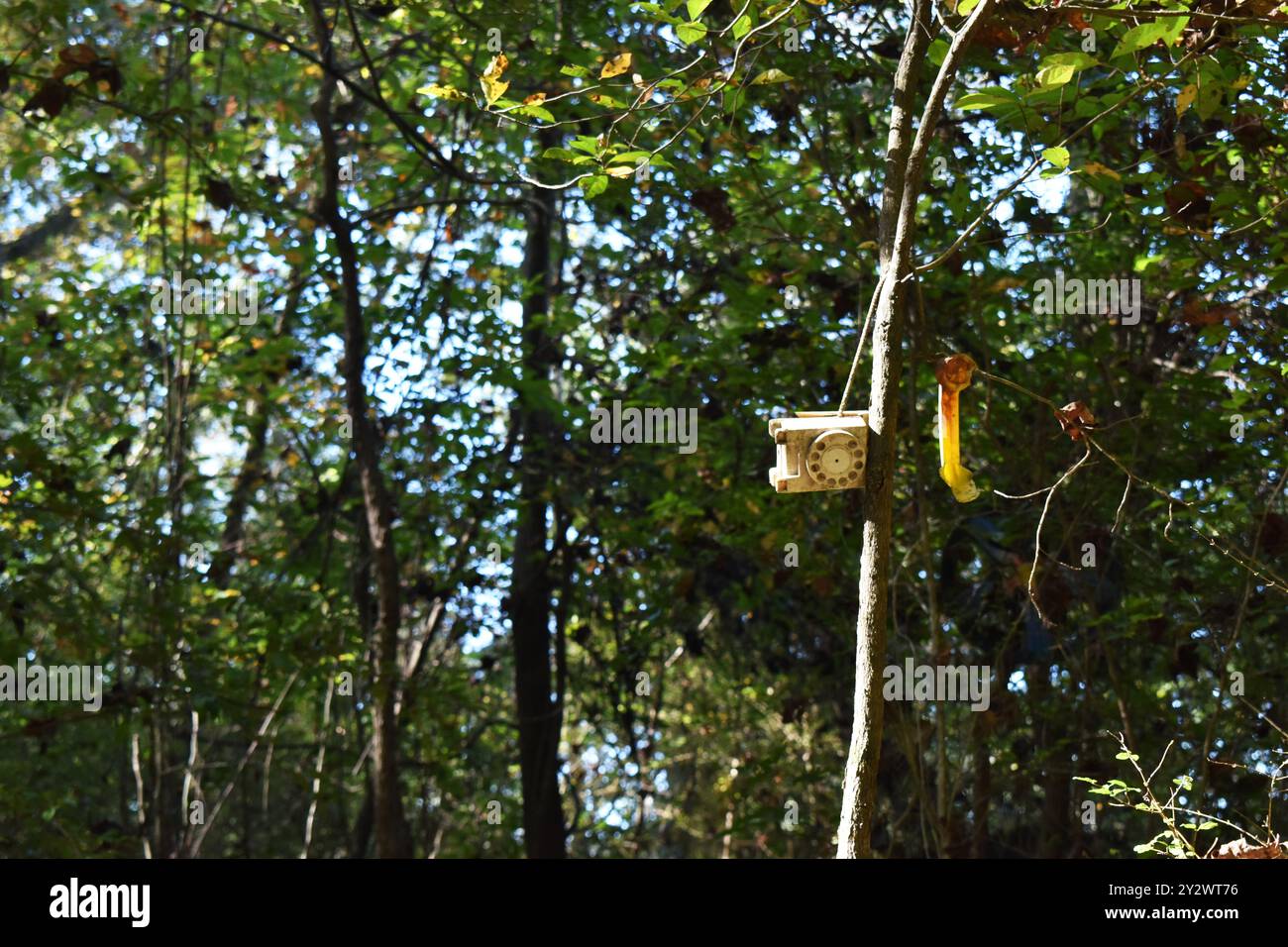 Téléphone jouet accroché à un arbre comme objet d'art trouvé à Doll's Head Trail d'Atlanta, Géorgie Banque D'Images