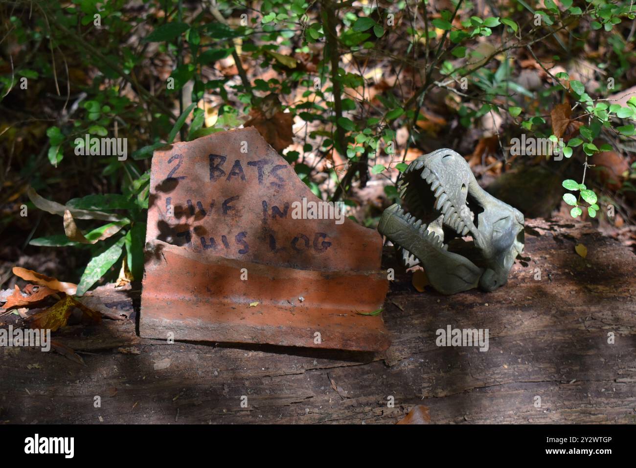 '2 chauves-souris vivent dans ce journal' signe et crâne de dinosaure en plastique sur un journal à Doll's Head Trail d'Atlanta, Géorgie Banque D'Images