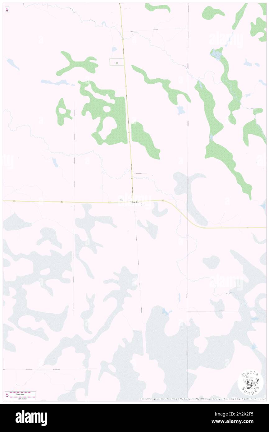 Shooks, Comté de Beltrami, US, États-Unis, Minnesota, n 47 52' 26'', S 94 26' 17'', carte, Cartascapes carte publiée en 2024. Explorez Cartascapes, une carte qui révèle la diversité des paysages, des cultures et des écosystèmes de la Terre. Voyage à travers le temps et l'espace, découvrir l'interconnexion du passé, du présent et de l'avenir de notre planète. Banque D'Images