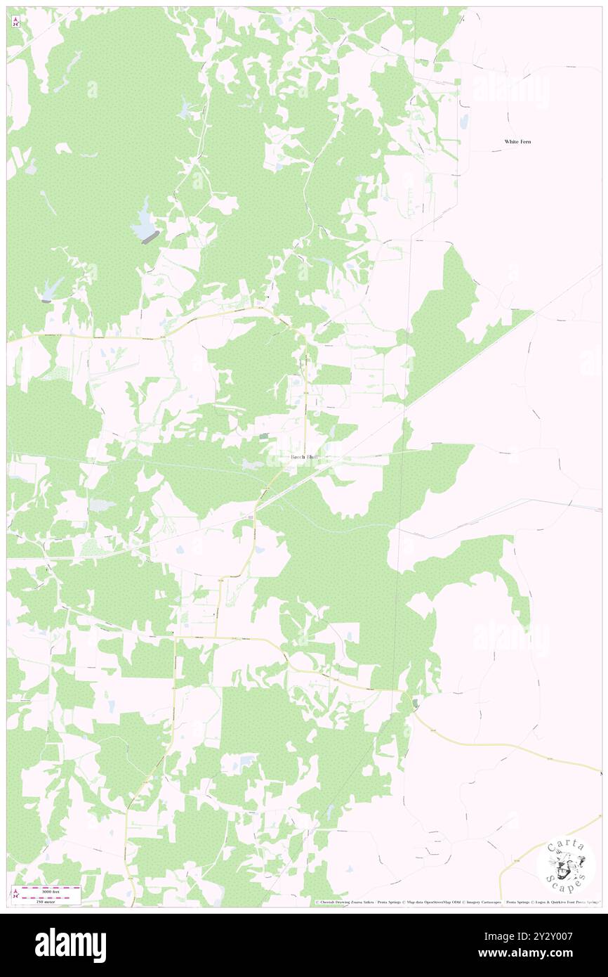 Beech Bluff, Comté de Madison, US, États-Unis, Tennessee, n 35 35' 47'', S 88 37' 53'', carte, Cartascapes carte publiée en 2024. Explorez Cartascapes, une carte qui révèle la diversité des paysages, des cultures et des écosystèmes de la Terre. Voyage à travers le temps et l'espace, découvrir l'interconnexion du passé, du présent et de l'avenir de notre planète. Banque D'Images