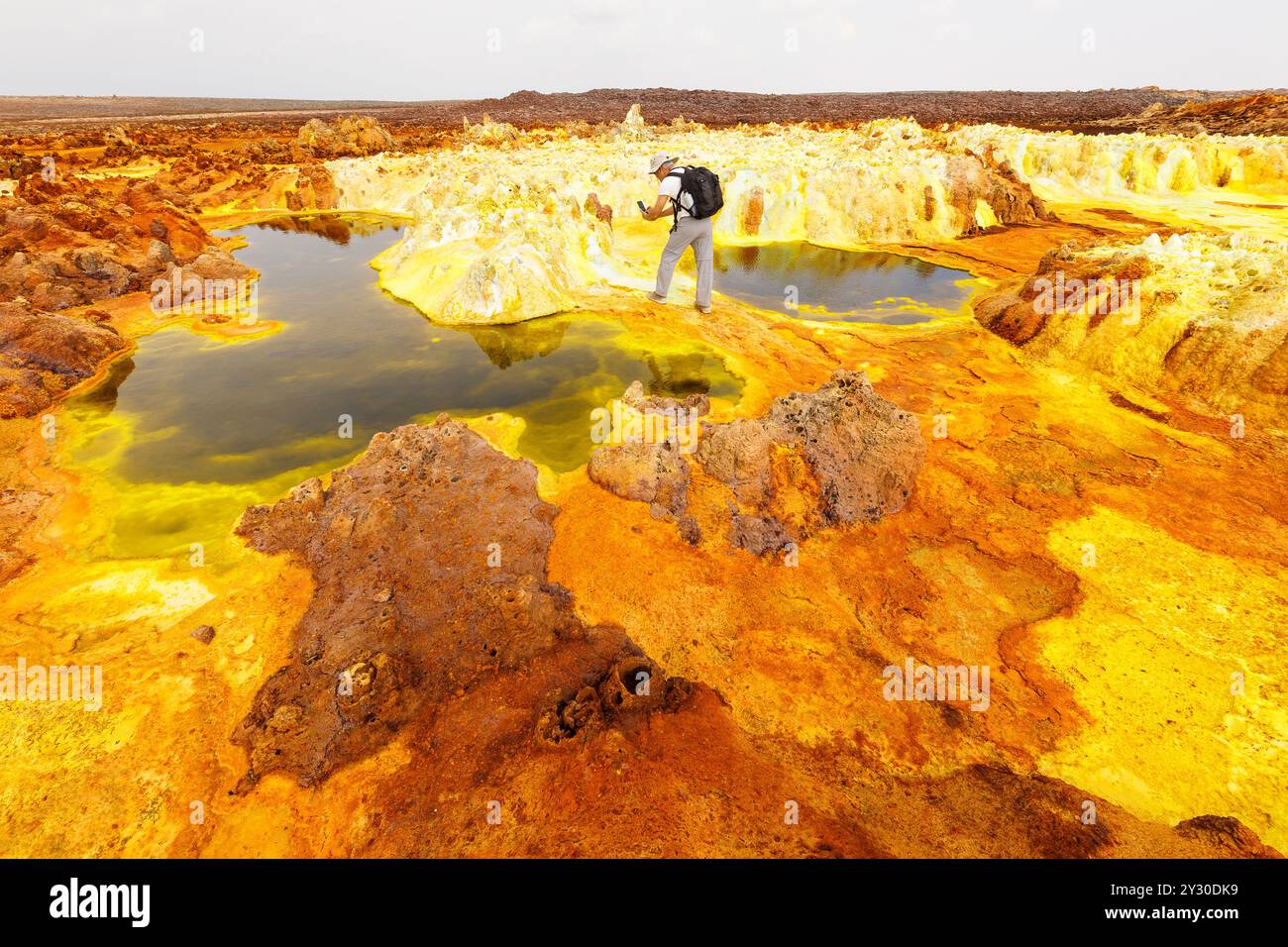 Ressorts de couleur dans l'acide, Dallol hottest place sur terre, dépression Danakil, l'Éthiopie, l'Afrique Banque D'Images