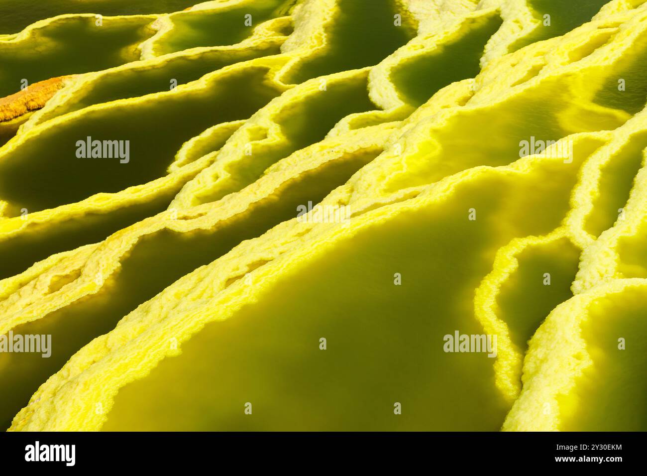 Ressorts de couleur dans l'acide, Dallol hottest place sur terre, dépression Danakil, l'Éthiopie, l'Afrique Banque D'Images