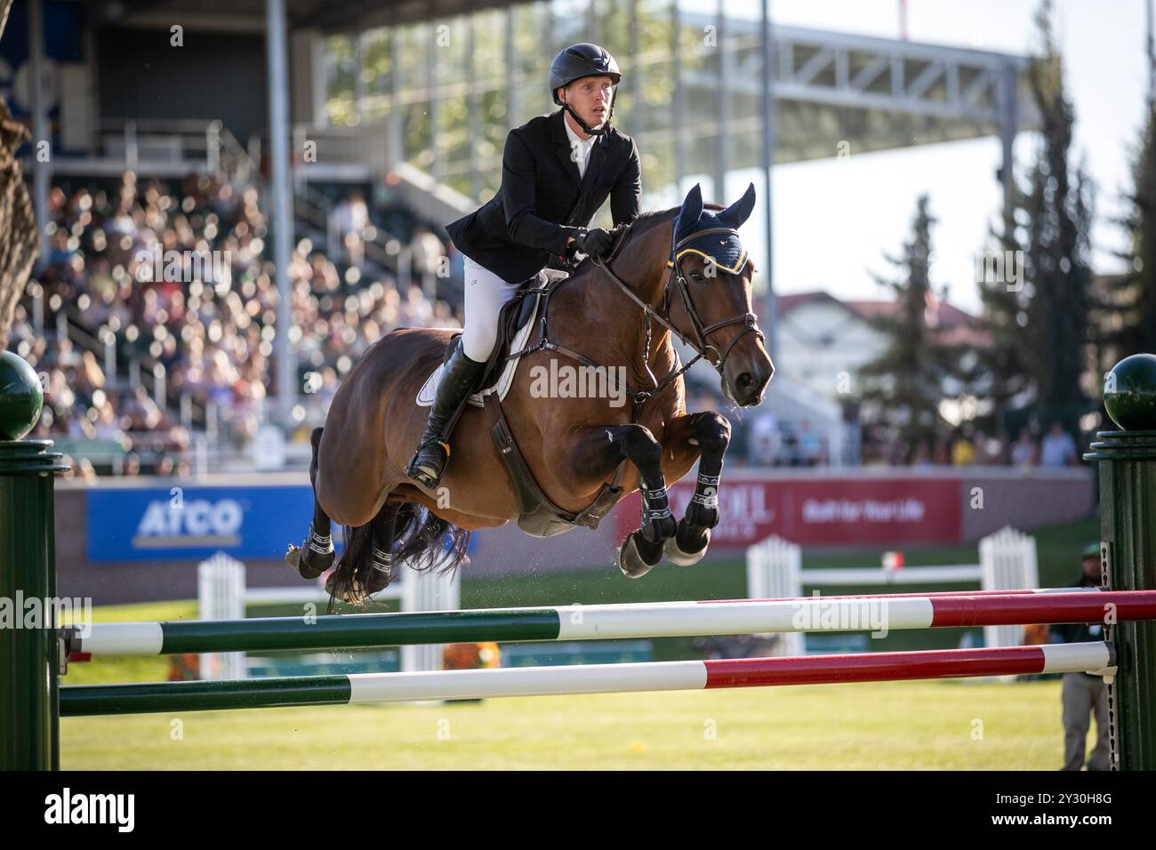 Calgary, Canada - 6 septembre 2024. Daniel Coyle, Irlandais, Riding Legacy, participe à la Tourmaline Cup de 1,60 m lors du CSIO Spruce Meadows 'Masters'. Banque D'Images