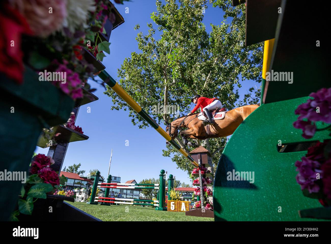 Calgary, Canada - 6 septembre 2024. Jorne Sprehe d'Allemagne, chevauchant Sprehe Hot Easy, participe à la Tourmaline Cup 1.60m lors du CSIO Spruce Meadows ' Banque D'Images