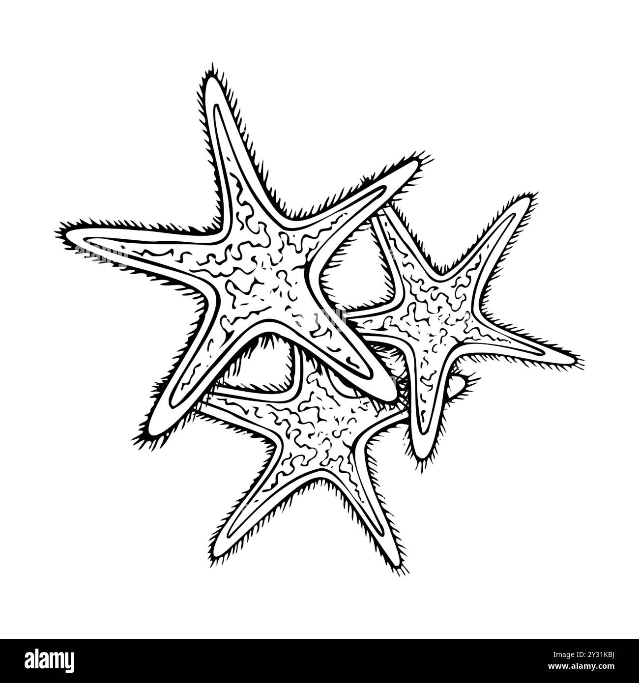 Coloriage de ligne d'animaux étoiles de mer blanc noir Illustration de Vecteur