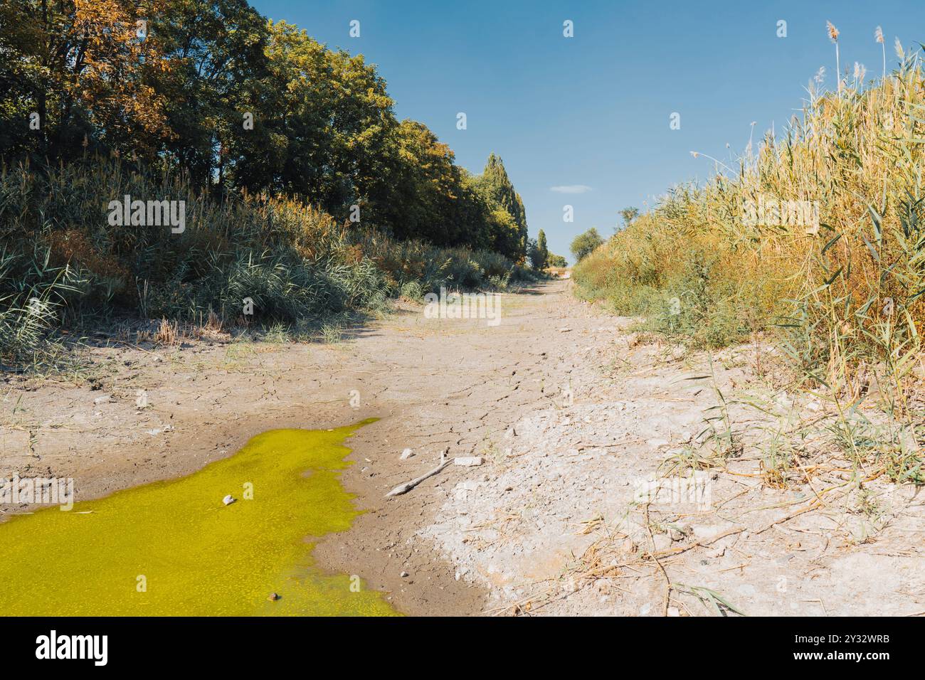 Lit de rivière sec par une journée ensoleillée d'été. Concept de changement climatique, sécheresse et assèchement des plans d'eau Banque D'Images