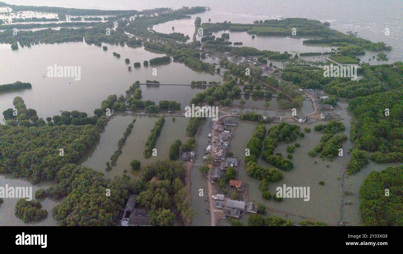 Changement climatique : village naufragé de Beting, régence de Bekasi, Java, Indonésie, Asie Banque D'Images