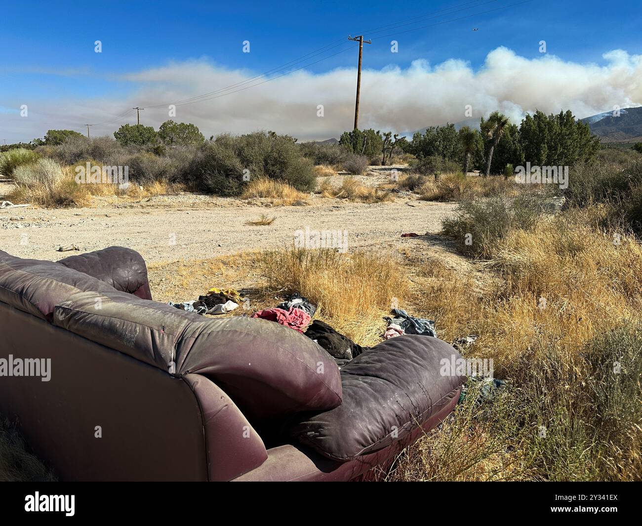 Phelan, Californie, États-Unis. 11 septembre 2024. Canapé abandonné face à l'incendie du pont dans la forêt nationale d'Angeles, vu du désert juste à côté de la Pear Blossom Highway, entre Llano et Phelan, Californie. Les gens jettent souvent leurs ordures dans le désert dans cette zone, à l'irritation de certains résidents. (Crédit image : © Amy Katz/ZUMA Press Wire) USAGE ÉDITORIAL SEULEMENT! Non destiné à UN USAGE commercial ! Banque D'Images