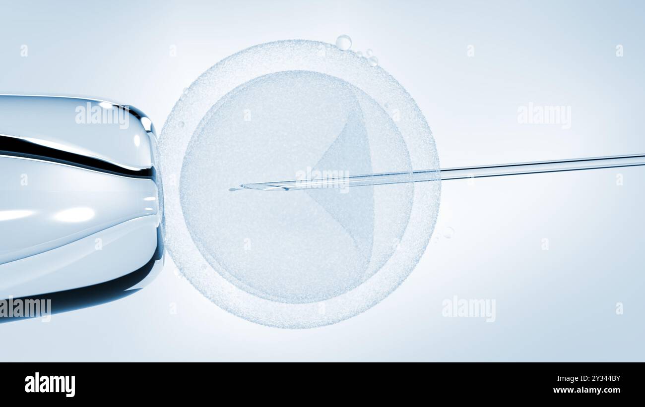 Fécondation in vitro. Insémination. ICSI. illustration 3d. Banque D'Images