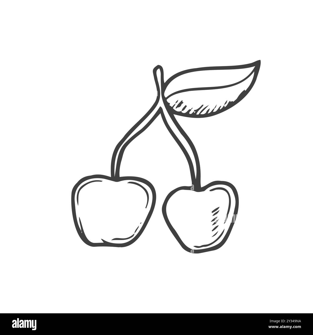Icône en forme de coolée à la main en cerisier. Illustration vectorielle d'une baie saine - cerise fraîche brute sur une branche avec une feuille Illustration de Vecteur