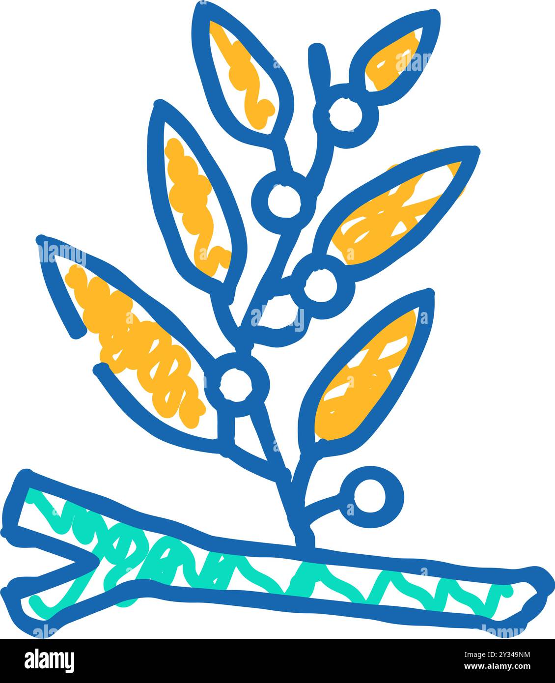 sargasses icône d'algues de doodle illustration Illustration de Vecteur