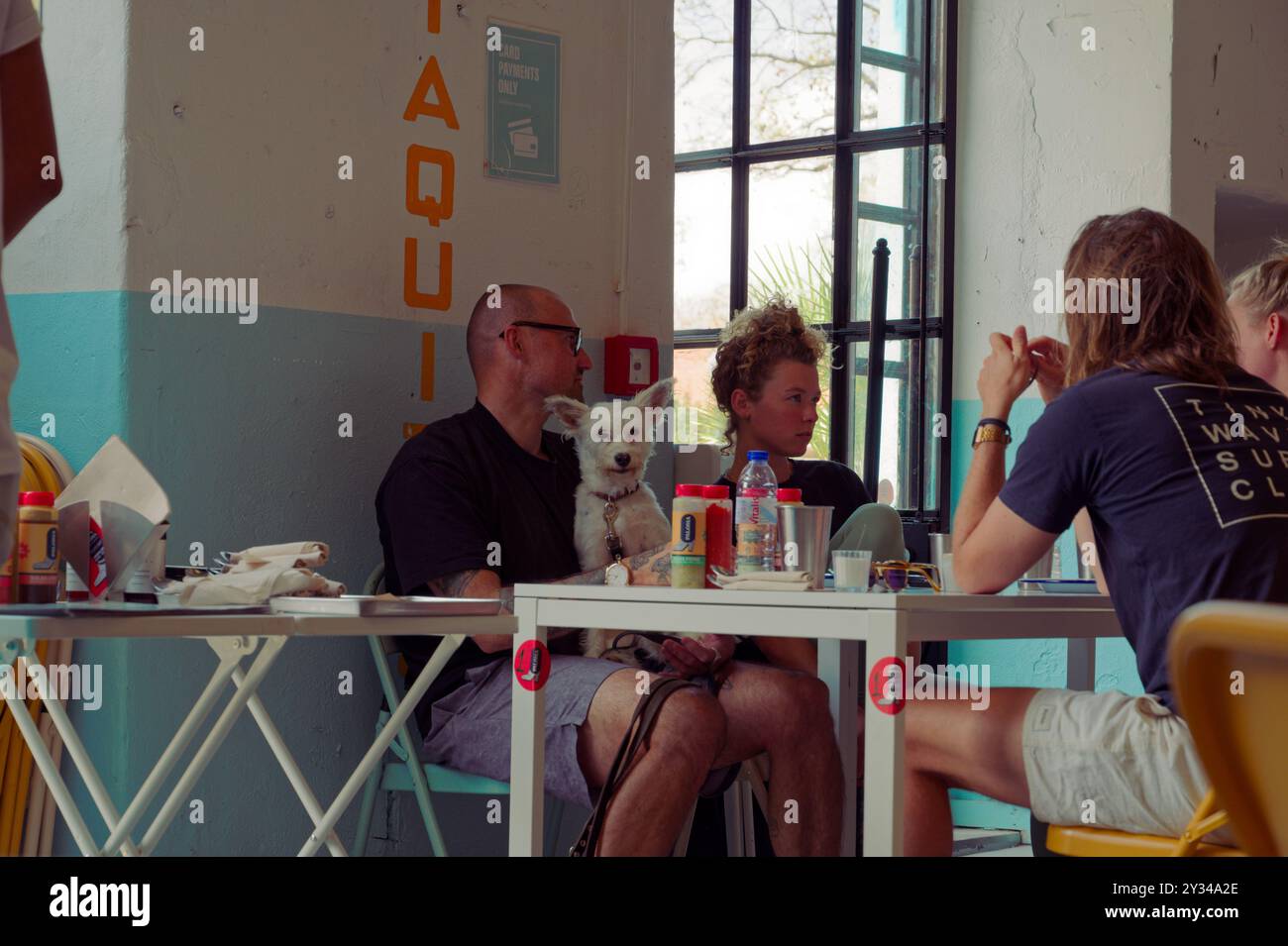 Un groupe de convives profite d'un moment décontracté à l'intérieur du Taqueria Paloma, avec un petit chien assis sur les genoux d'un homme Banque D'Images