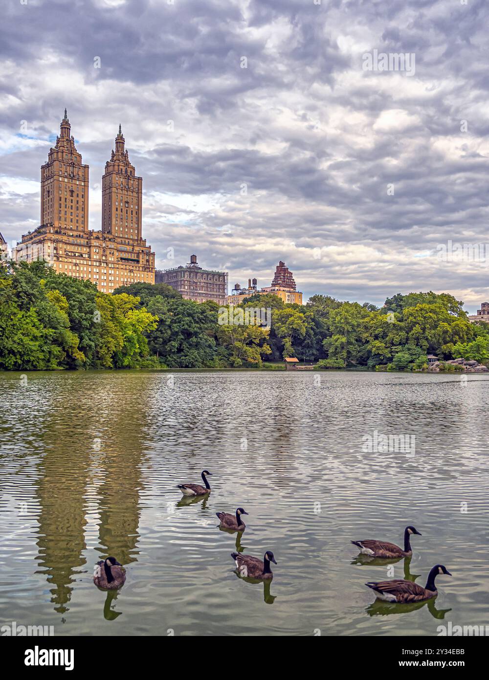 Il à lake in Central Park, New York, Manhattan Banque D'Images