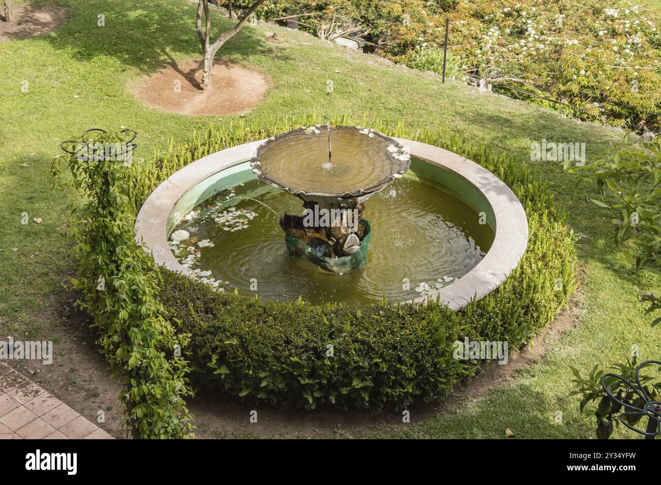 Avis d'une vieille fontaine ovale entouré de buis dans le jardin de Granja de Palma de Mallorca Banque D'Images