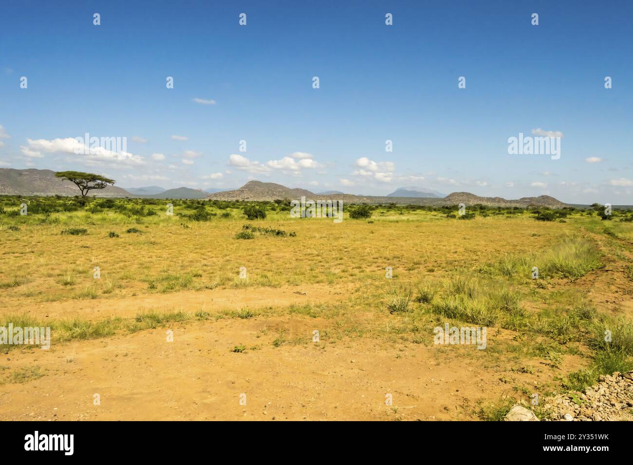 Vue sur les sentiers et de savane Parc Samburu dans le centre du Kenya Banque D'Images