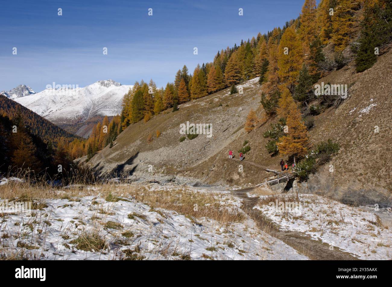 Randonneurs à Val Trupchun, Parc National Suisse, Graubunden, Suisse Banque D'Images