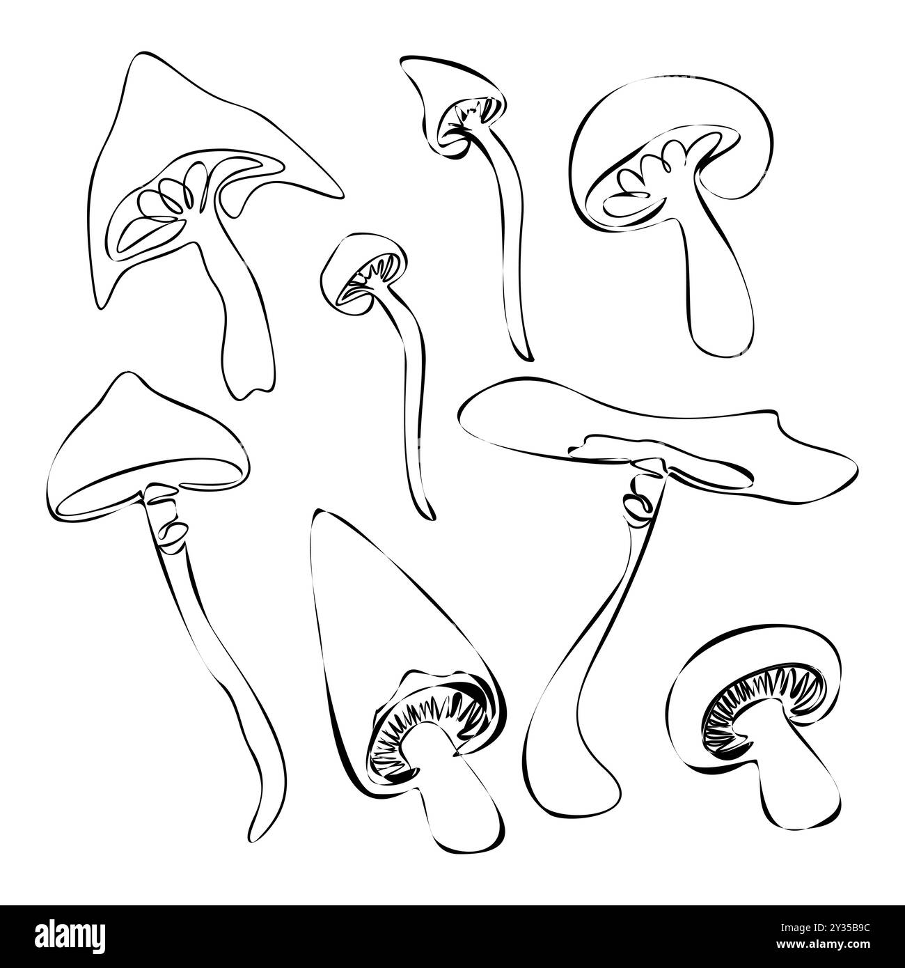 Ensemble de champignons fantastiques. Collection d'illustrations vectorielles dessinées à la main. Croquis de plantes forestières. Ensemble botanique. Dessin en ligne continue isolé sur blanc Illustration de Vecteur