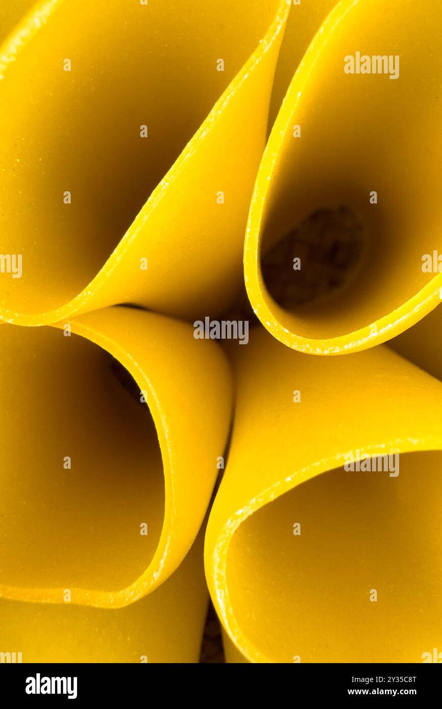 Vue de dessus abstraite de gros tubes jaunes de pâtes italiennes cannelloni crues. Style art culinaire. Prise de vue macro Banque D'Images