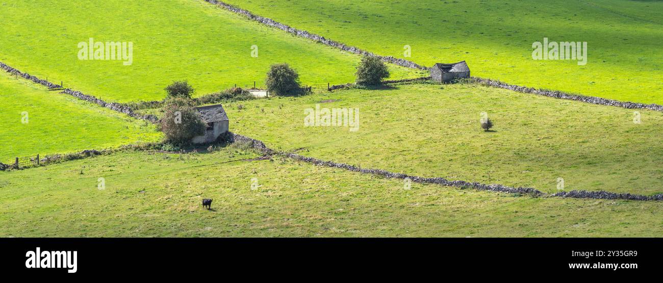Granges de champ et murs de limite en pierres sèches dans le Derbyshire Peak District UK Banque D'Images