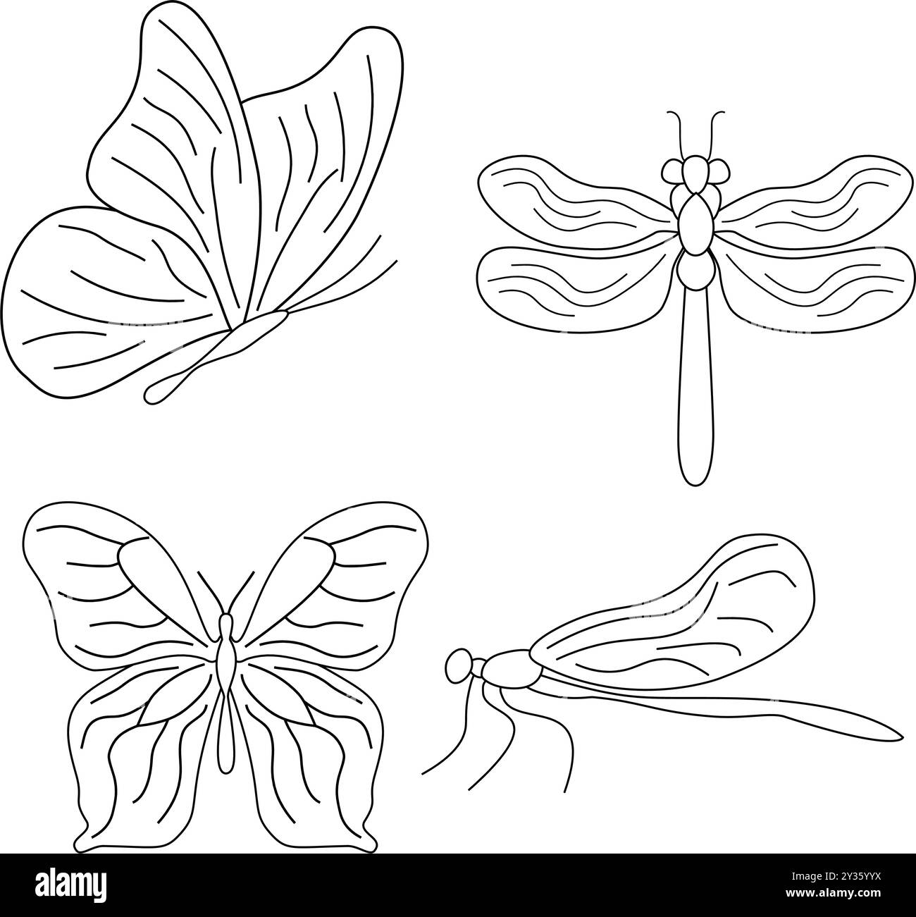 Grand ensemble de lignes dessinées à la main d'insectes insectes, papillon libellule. Silhouette vintage illustration gravée de style esquisse. Illustration de Vecteur
