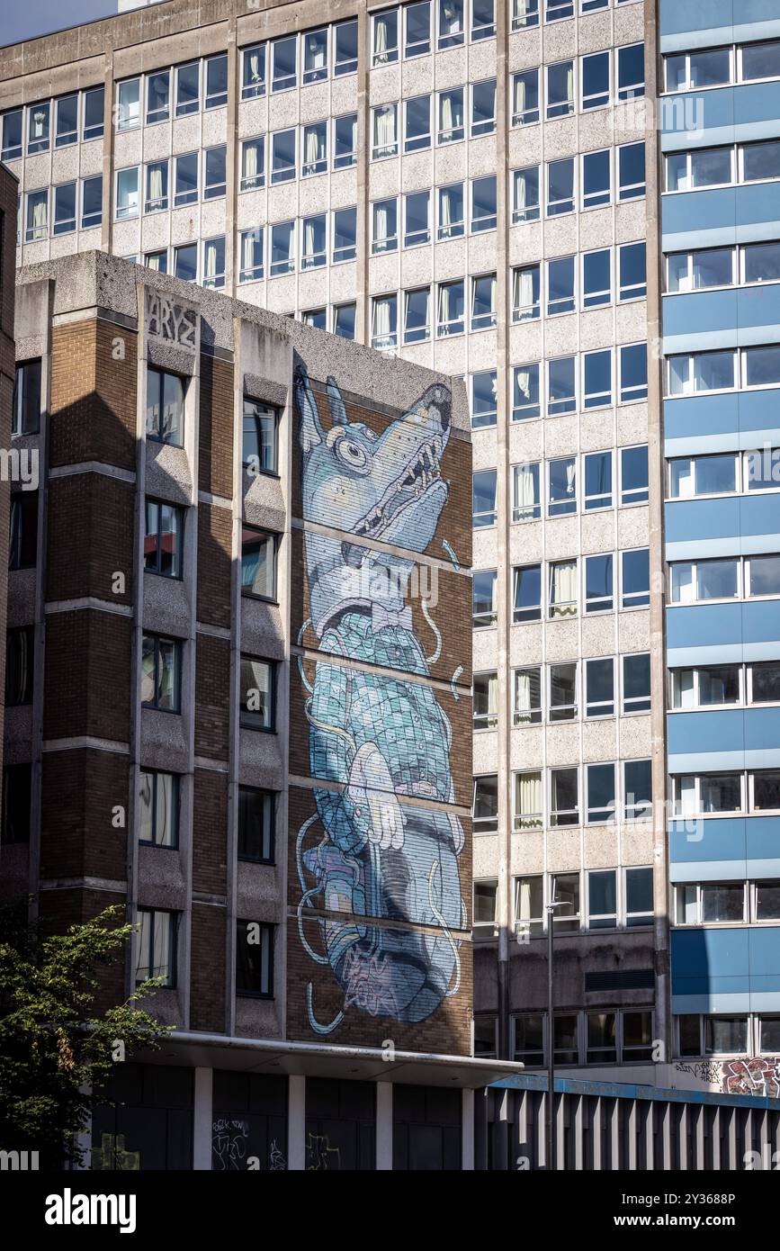 Wolf Boy art par l'artiste mural espagnol Aryz, Octavi Serra Arrizabalaga Banque D'Images