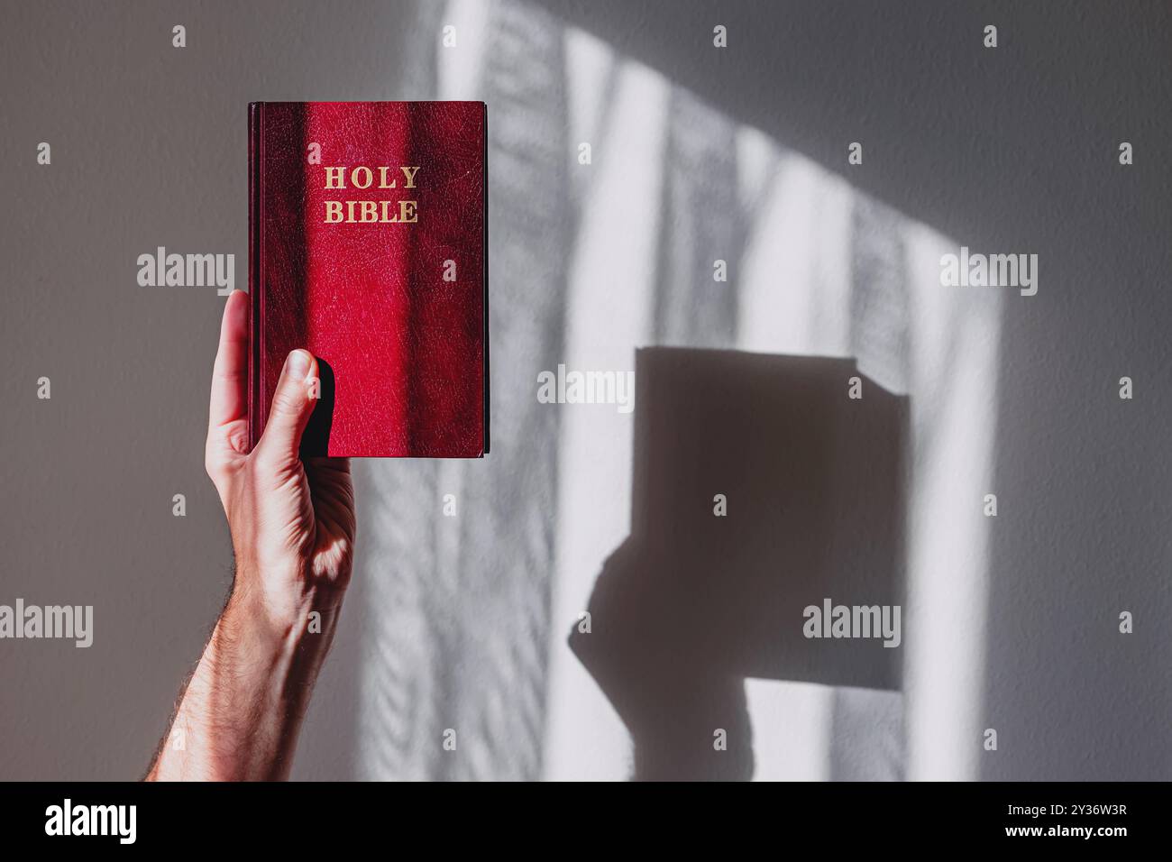 Main masculine tenant un livre de Sainte Bible recouvert de rouge contre un mur lumineux et ensoleillé Banque D'Images
