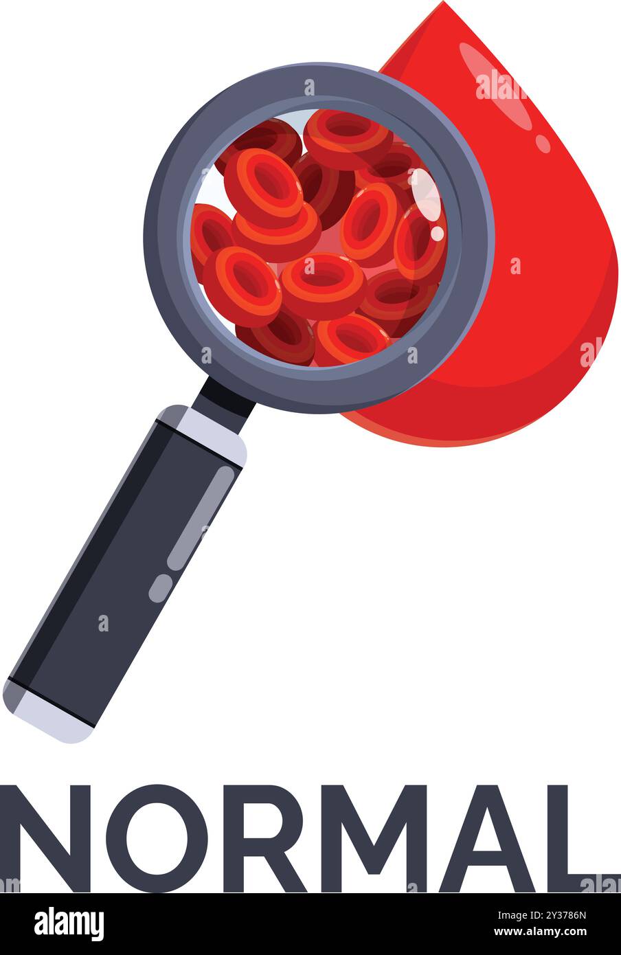 Loupe montrant une numération normale des globules rouges Illustration de Vecteur