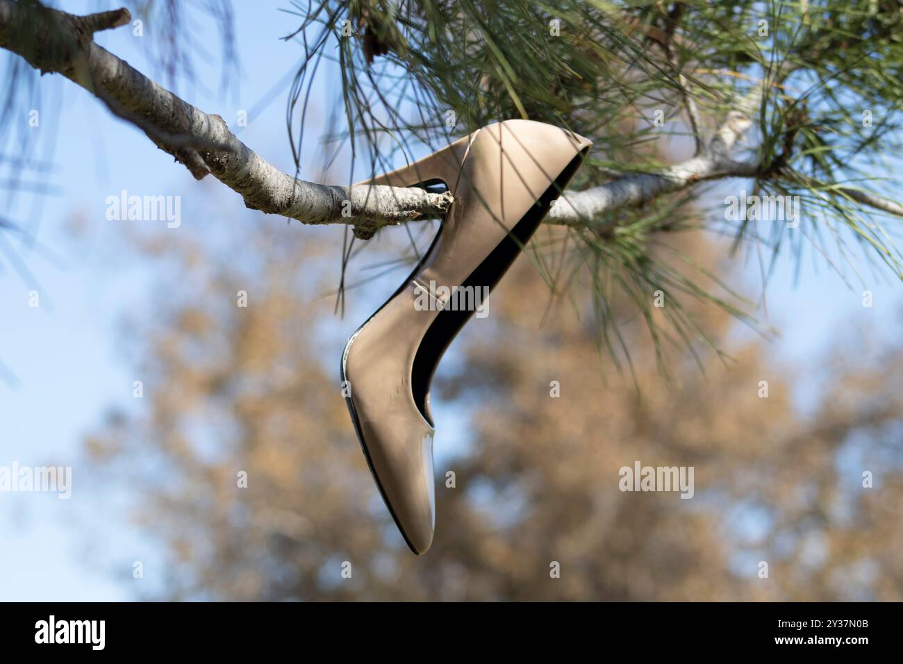 paire de talons beiges suspendus à une branche d'arbre Banque D'Images