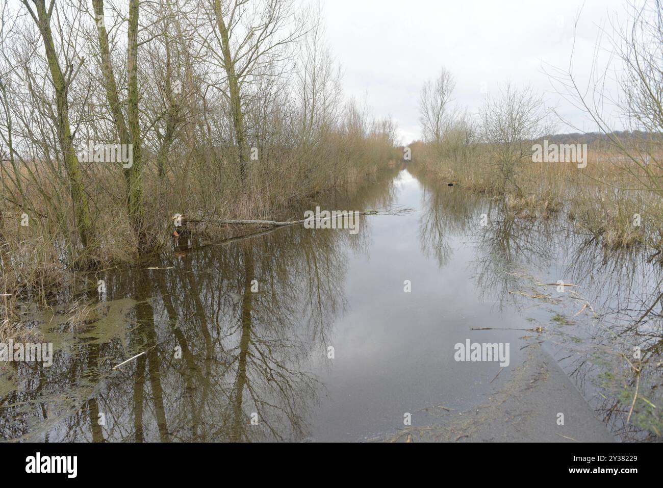 Die Verbindungsstraße von Wotenick nach Drönnewitz ist wegen Hochwasser gesperrt. *** La route reliant Wotenick à Drönnewitz est fermée en raison des inondations Banque D'Images