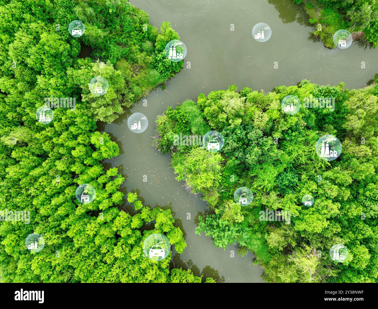 Concept de neutralité carbone. Capture par les arbres verts des émissions de carbone des usines et des transports. Puits de carbone naturels, réduction du CO2, pollution Banque D'Images